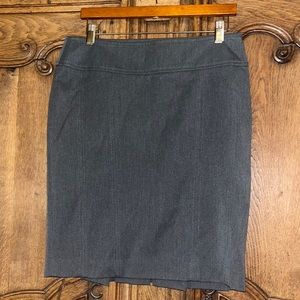 Express Design Studio Skirt